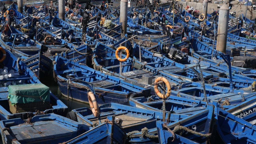 A vibrant scene of blue fishing boats docked at Essaouira harbor, Morocco.