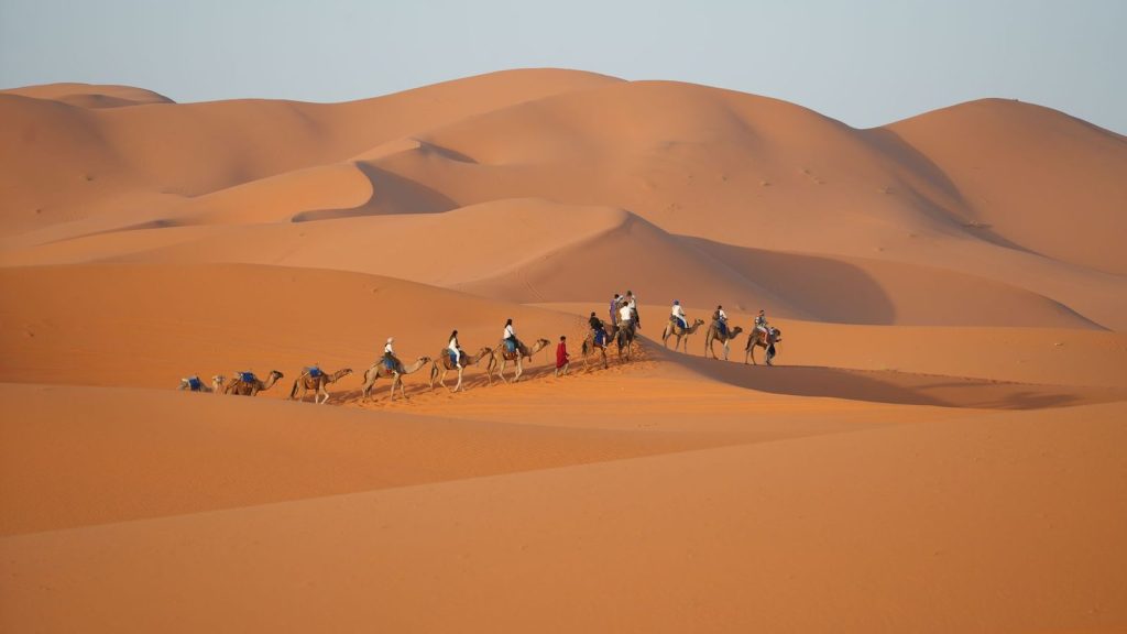 A camel caravan traverses the rolling dunes of Merzouga, Morocco at sunset.