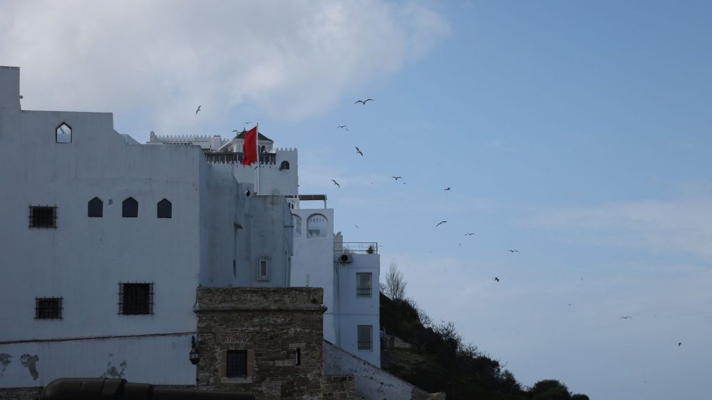White traditional buildings against a blue sky in Tangier, Morocco, with birds flying in the background.