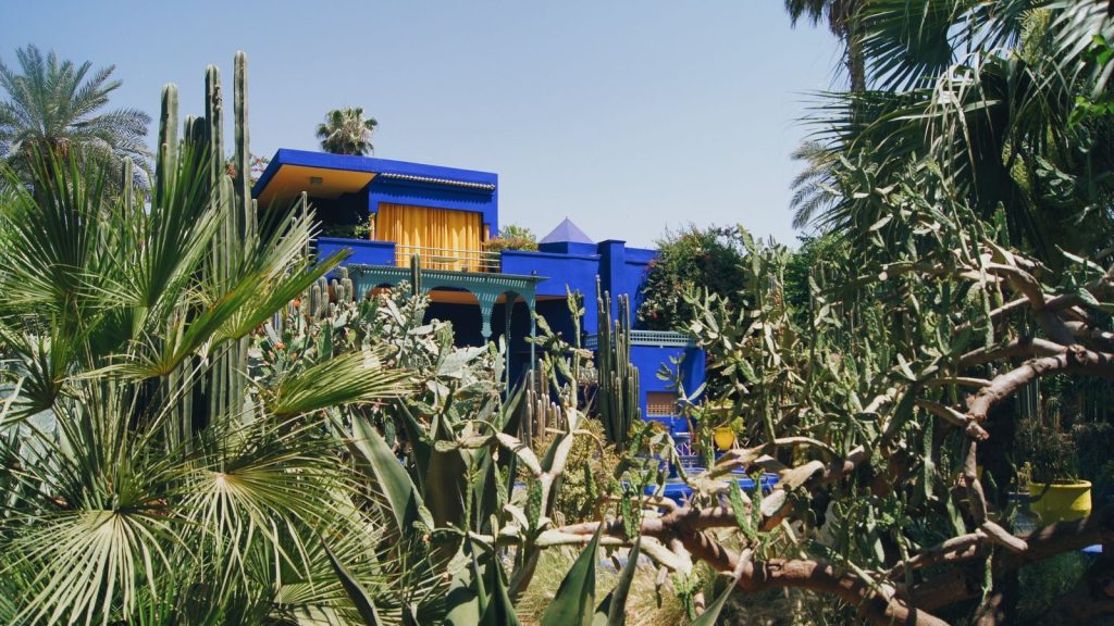 The blue villa of the Jardin Majorelle in Marrakech, seen through cacti and palm trees