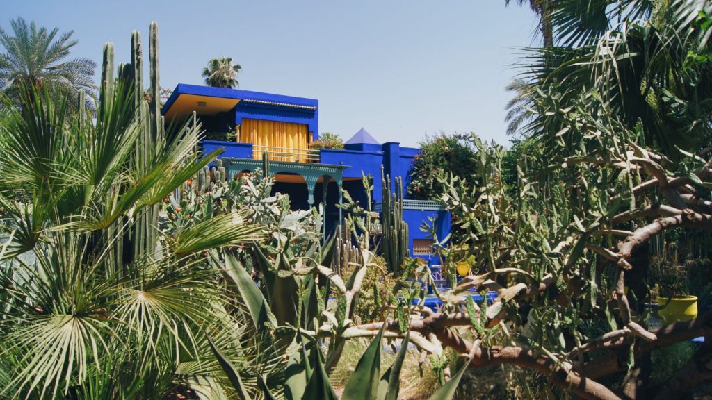 The blue villa of the Majorelle Garden in Marrakech seen through cacti and palm trees